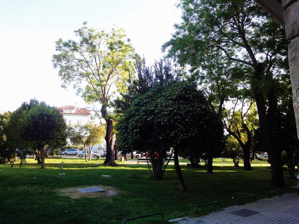 Apartments Orsula Split Dış mekan fotoğraf