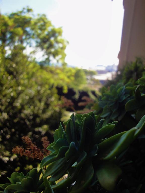 Apartments Orsula Split Dış mekan fotoğraf